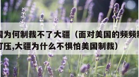 美国为何制裁不了大疆（面对美国的频频制裁与打压,大疆为什么不惧怕美国制裁）