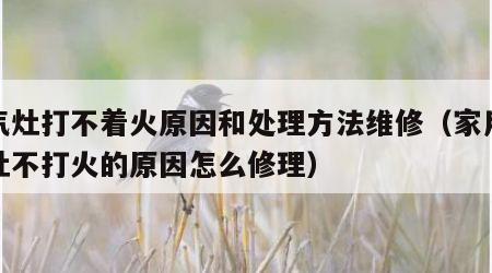 燃气灶打不着火原因和处理方法维修（家用燃气灶不打火的原因怎么修理）