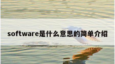 software是什么意思的简单介绍