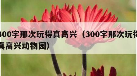 300字那次玩得真高兴（300字那次玩得真高兴动物园）