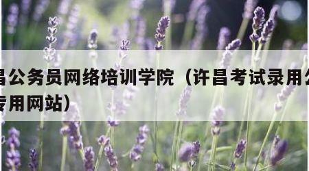 许昌公务员网络培训学院（许昌考试录用公务员专用网站）