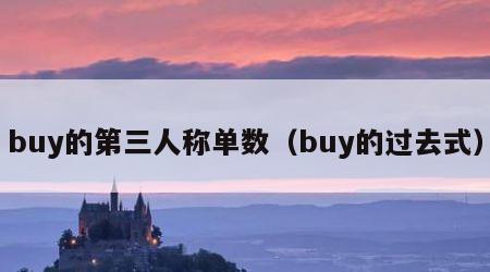 buy的第三人称单数（buy的过去式）