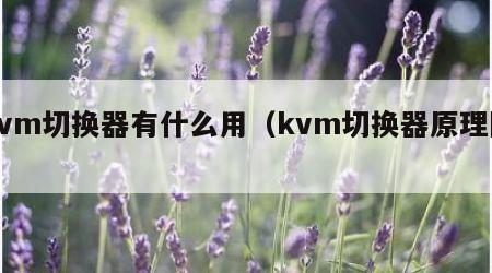 kvm切换器有什么用（kvm切换器原理图）