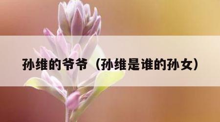 孙维的爷爷（孙维是谁的孙女）