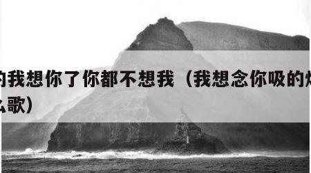 吸的我想你了你都不想我（我想念你吸的烟是什么歌）