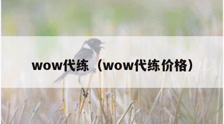 wow代练（wow代练价格）