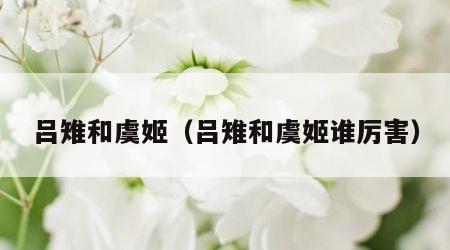 吕雉和虞姬（吕雉和虞姬谁厉害）