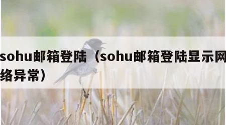 sohu邮箱登陆（sohu邮箱登陆显示网络异常）