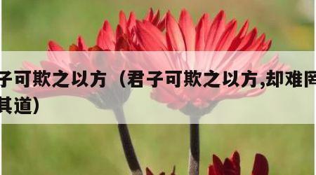 君子可欺之以方（君子可欺之以方,却难罔以非其道）