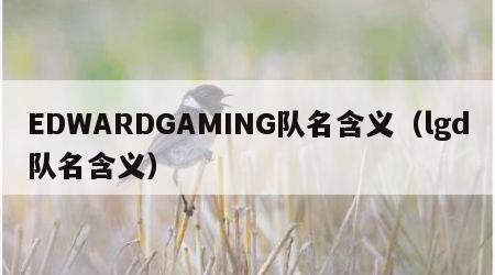 EDWARDGAMING队名含义（lgd队名含义）