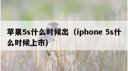 苹果5s什么时候出（iphone 5s什么时候上市）