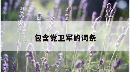 包含党卫军的词条