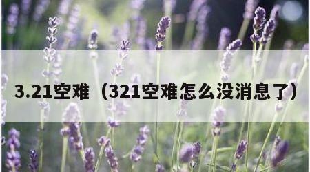 3.21空难（321空难怎么没消息了）