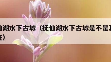 抚仙湖水下古城（抚仙湖水下古城是不是真实存在）