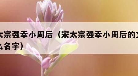 宋太宗强幸小周后（宋太宗强幸小周后的文叫什么名字）