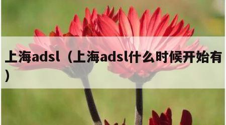 上海adsl（上海adsl什么时候开始有）