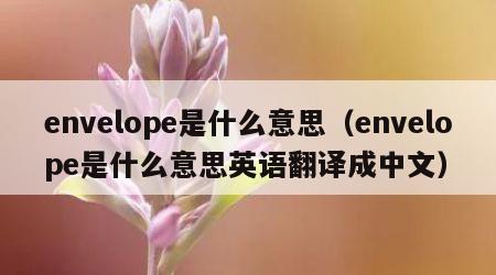 envelope是什么意思（envelope是什么意思英语翻译成中文）