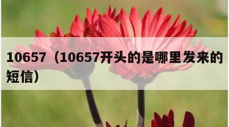 10657（10657开头的是哪里发来的短信）