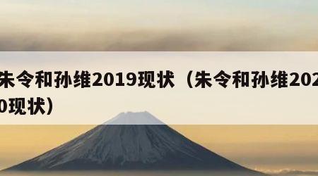 朱令和孙维2019现状（朱令和孙维2020现状）