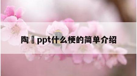 陶喆ppt什么梗的简单介绍