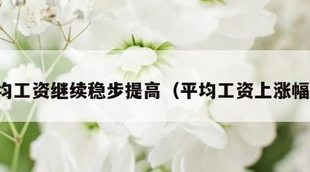 平均工资继续稳步提高（平均工资上涨幅度）