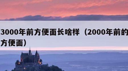 3000年前方便面长啥样（2000年前的方便面）