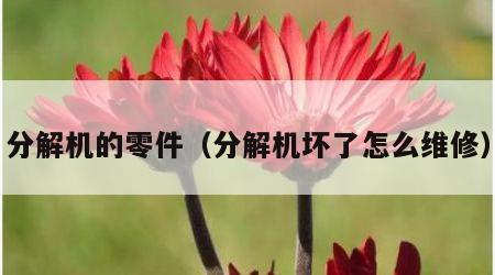 分解机的零件（分解机坏了怎么维修）