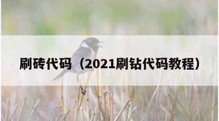 刷砖代码（2021刷钻代码教程）