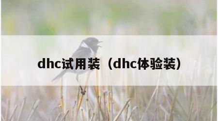 dhc试用装（dhc体验装）