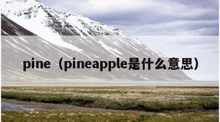 pine（pineapple是什么意思）