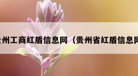 贵州工商红盾信息网（贵州省红盾信息网）