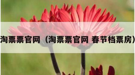 淘票票官网（淘票票官网 春节档票房）