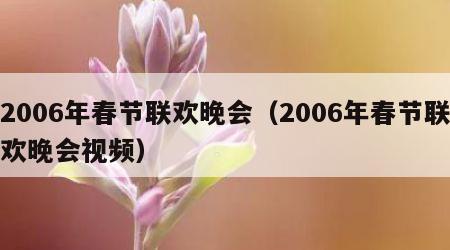 2006年春节联欢晚会（2006年春节联欢晚会视频）