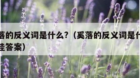 奚落的反义词是什么?（奚落的反义词是什么最佳答案）