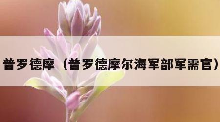 普罗德摩（普罗德摩尔海军部军需官）