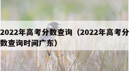 2022年高考分数查询（2022年高考分数查询时间广东）