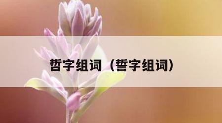 哲字组词（誓字组词）