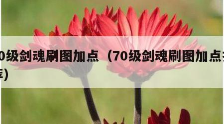 70级剑魂刷图加点（70级剑魂刷图加点推荐）