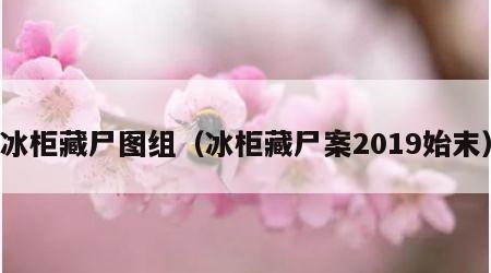 冰柜藏尸图组（冰柜藏尸案2019始末）