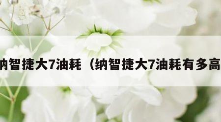 纳智捷大7油耗（纳智捷大7油耗有多高）