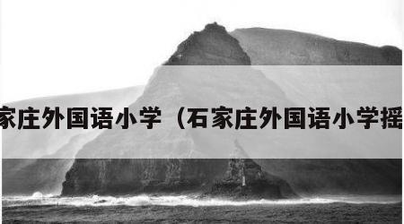 石家庄外国语小学（石家庄外国语小学摇号）