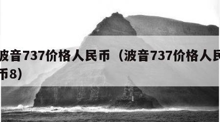 波音737价格人民币（波音737价格人民币8）