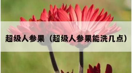 超级人参果（超级人参果能洗几点）