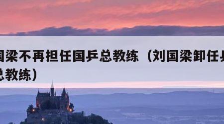 刘国梁不再担任国乒总教练（刘国梁卸任乒乓球总教练）