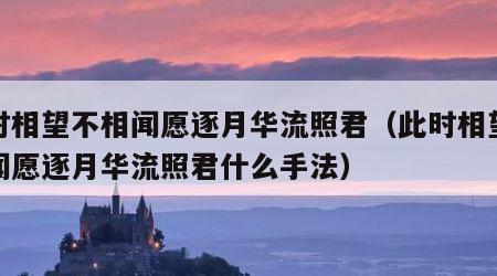 此时相望不相闻愿逐月华流照君（此时相望不相闻愿逐月华流照君什么手法）