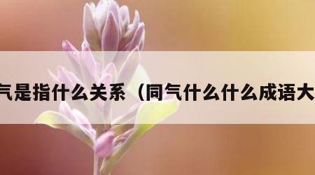 同气是指什么关系（同气什么什么成语大全）