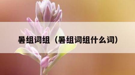 暑组词组（暑组词组什么词）