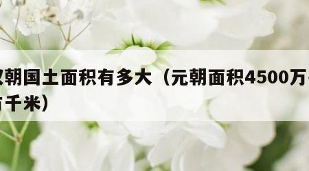 汉朝国土面积有多大（元朝面积4500万平方千米）