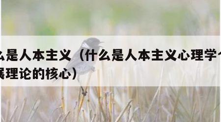 什么是人本主义（什么是人本主义心理学个性发展理论的核心）