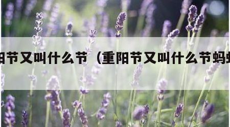 重阳节又叫什么节（重阳节又叫什么节蚂蚁庄园）